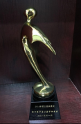 获得2014年度中国公益映像奖